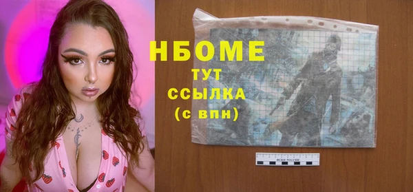 эйфоретик Няндома