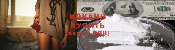 винт Новозыбков