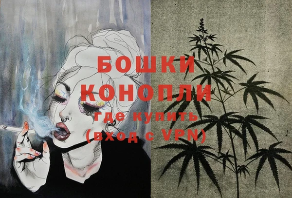 эйфоретик Няндома