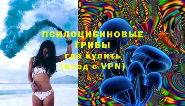 эйфоретик Няндома