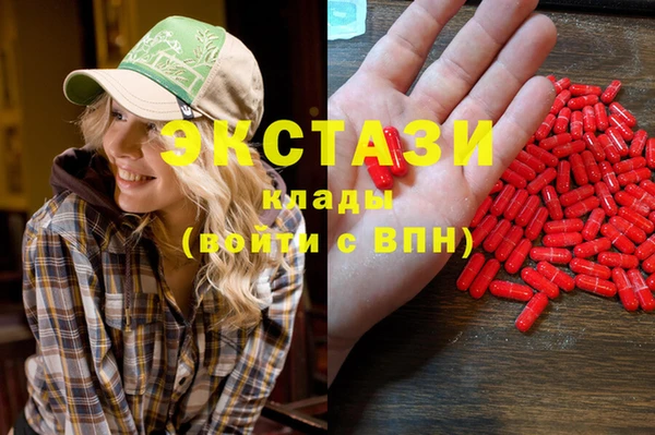 эйфоретик Няндома