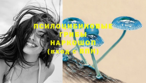 mix Новодвинск