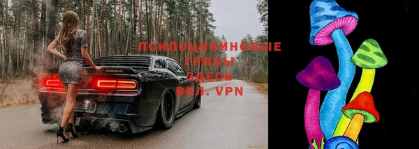 винт Новозыбков