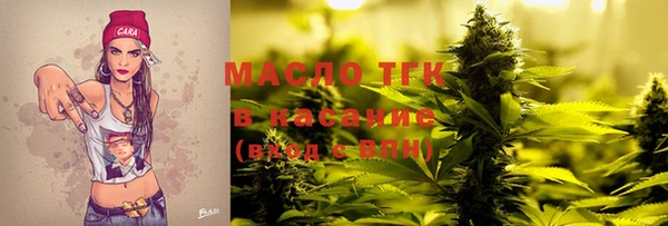 эйфоретик Няндома