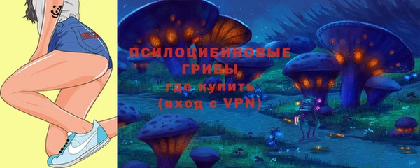 mix Новодвинск